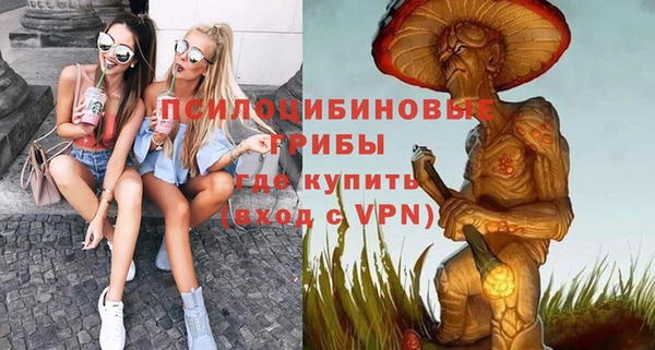 прущая мука Елабуга