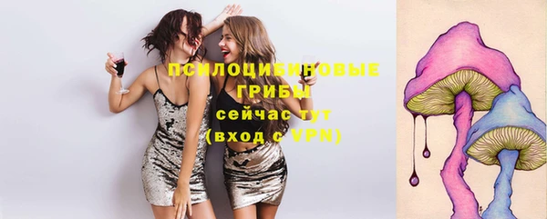 прущая мука Елабуга