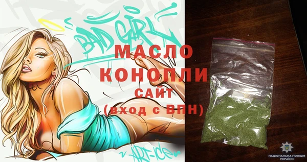 ешки Ельня