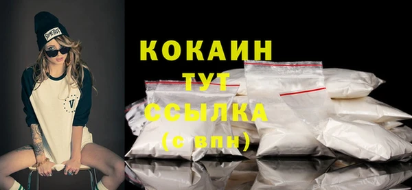 ешки Ельня