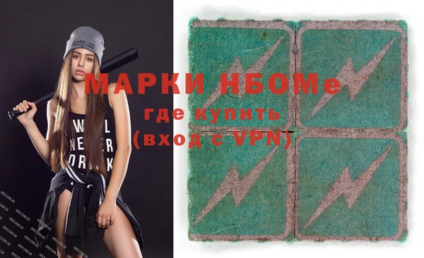 ешки Ельня