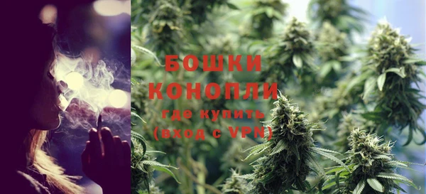 ешки Ельня