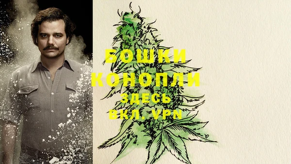 прущая мука Елабуга